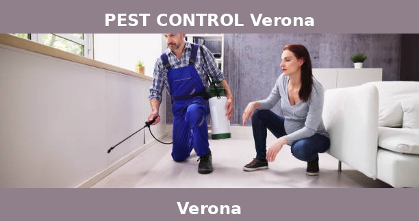 PEST CONTROL Verona